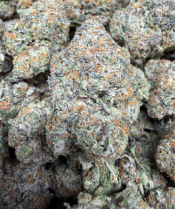 Mule Fuel "A+ Grade" Indoor Flower by Claybourn Co.