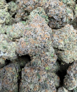 Bubblegum Gushers "A Grade" Indoor Flower by Tumbado Gardens