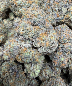 Blue Lobster "A+ Grade" Indoor Flower by CAM