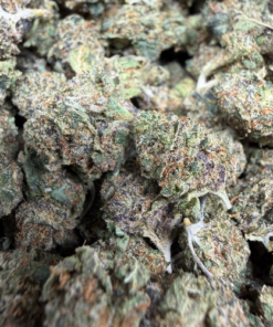 Gelato 44 "C Grade" Indoor Flower SMALLS