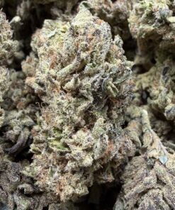Purple Kush "B Grade" Greenhouse Flower