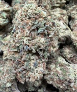 Lemon Cherry Gelato "B Grade" Greenhouse Flower