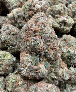 Candy Gelato "B+ Grade" Mixed Light Indoor