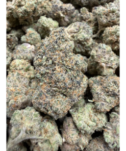 Gumbo "C Grade" Mixed Light Indoor