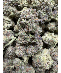 Blue Lobster "A Grade" Greenhouse Flower Medium/Small Buds