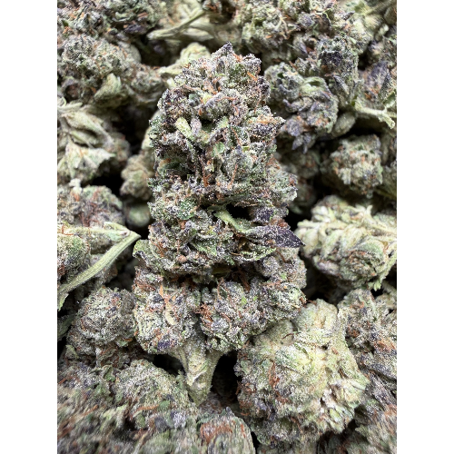 Blue Lobster "A Grade" Greenhouse Flower Medium/Small Buds