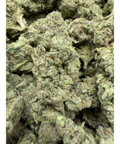 Biscotti "A Grade" Greenhouse Flower Medium/Small Buds