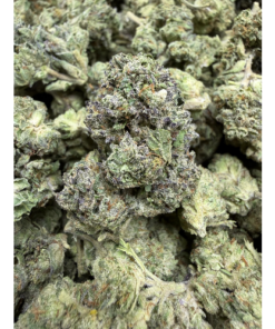 Blueberry Cake "A Grade" Greenhouse Flower Medium/Small Buds