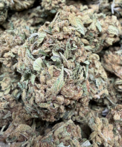 White Truffle "C Grade" Greenhouse Flower