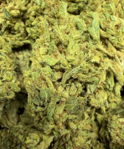 Monster Cookies "C Grade" Greenhouse Flower