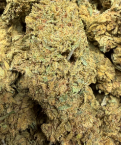 OG Kush "C- Grade" Greenhouse Flower "Older"