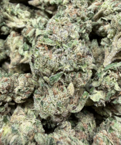 Candy Fumes "A Grade" Greenhouse Flower