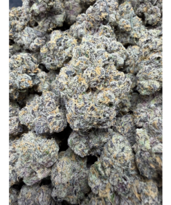 Versace BX1 "A+ Grade" Indoor Flower (LIGHTY SEEDED) Low Price 💵