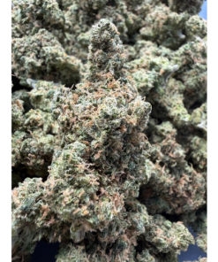 Grapefruit "B+ Grade" Mixed Light Indoor (Crazy Terps)