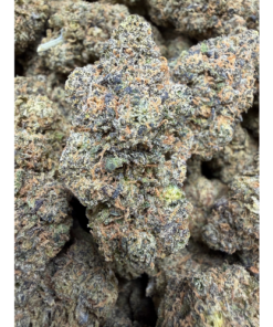Lazer Gun "B Grade" Indoor Flower (OLDER HARVEST) "A Grade When Fresh"