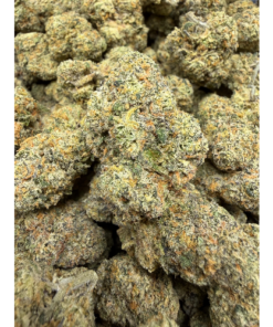 Versace "B Grade" Indoor Flower (OLDER HARVEST) "A Grade When Fresh"
