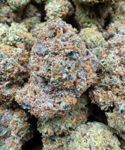 Guava Gelato (A Grade) Indoor Flower by Tumbado Gardens