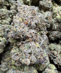 Purple Berry Runtz (A Grade) Indoor Flower