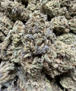 Mr Nice's Lemon Cherry Gelato "A Grade" Greenhouse Flower