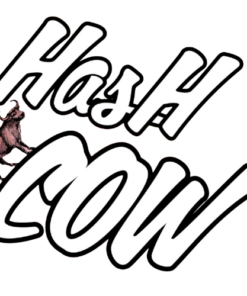 Hash Cow Solventless 1g Jars TIER 1