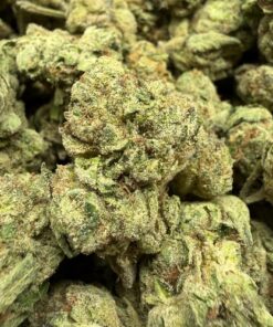 Grape Gas (B Grade) Indoor Flower SMALLS "Great Ticket"