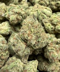 Skittles x Runtz (B Grade) Indoor Flower Smalls "Great Ticket"