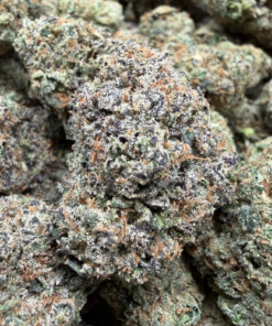 Frosted Runtz (A Grade) Indoor Flower by Tumbado Garden