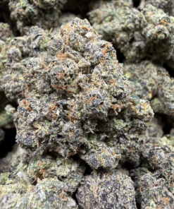 Blue Jelly Runtz (A Grade) Indoor Flower by Tumbado Gardens