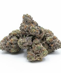 Purple Sherbet (A+ Grade) Indoor Flower "SMALL BUDS" BY Lumpy's