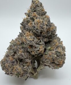 Grand Daddy Purple (A+ Grade) Indoor Flower by Presidential Gardens