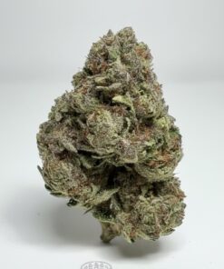 White Runtz (A Grade) Greenhouse Flower