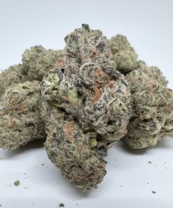 Pajaro #2 (B Grade) Indoor Flower