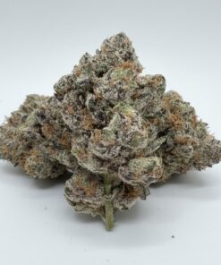 Fight Club (A Grade) Indoor Flower By Lumpy's