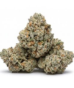 FOAM (B Grade) Mixed Light Indoor Flower "SMALL BUDS" by Preferred Gardens