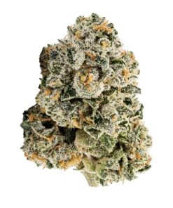 Deuces (B+ Grade) Mixed Light Indoor Flower "SMALL BUDS" by Preferred Gardens