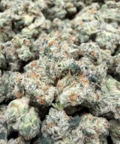 Grape Cake (B+ Grade) Mixed Light Indoor Flower "SMALL BUDS" by Preferred Gardens - Image 2
