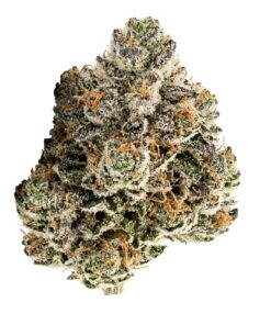 Grape Cake (B+ Grade) Mixed Light Indoor Flower "SMALL BUDS" by Preferred Gardens