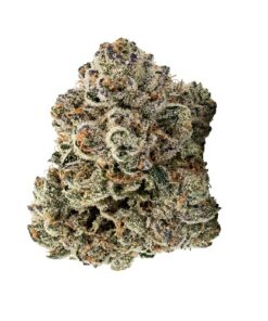White Cherry Gelato (A Grade) Mixed Light Indoor Flower by Preferred Gardens