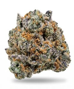 Gumbo (A Grade) Indoor Flower "SMALL BUDS"