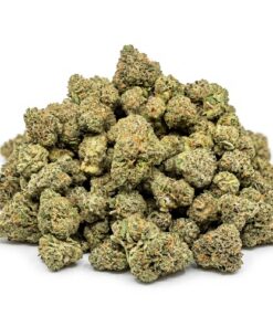 Wet Ink (B Grade) Indoor Flower "SMALL BUDS" Great Ticket