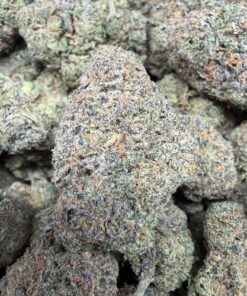 Guava's (B Grade) Indoor Flower "Great Ticket" - Image 2