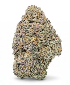 Guava's (B Grade) Indoor Flower "Great Ticket"