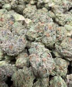 Candy Gelato (B Grade) Mixed Light Indoor Flower "SMALL BUDS"