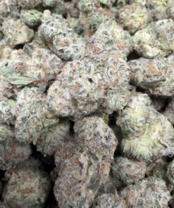 Sour 98OG (B+ Grade) Mixed Light Indoor Flower "SMALL BUDS"