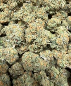 Guava Mints (A Grade) Indoor Flower "SMALL BUDS"