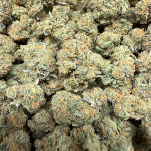 Guava Mints (A Grade) Indoor Flower "SMALL BUDS"