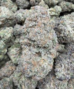 Runtz Berry (A Grade) Indoor Flower by Tumbado Gardens