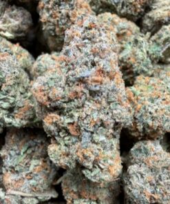 Gasolina (A+ Grade) Indoor Flower by Tumbado Gardens