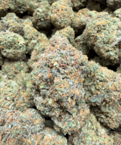 Black Gelato (A Grade) Indoor Flower - Image 2