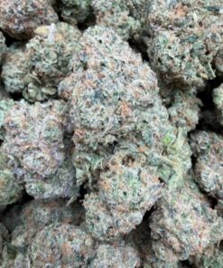 Candy Fumes (A Grade) Indoor Flower - Image 2